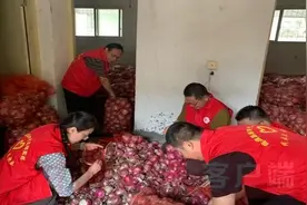 县新时代文明实践中心：为移民兄弟滞销的2万斤洋葱“买单”图片