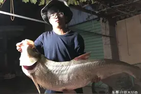 它被新手误以为小白条，却是白条的天敌——路亚翘嘴全攻略图片