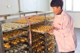 第一书记推荐：东北粘豆包水蒸油煎都好吃，买它！图片