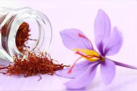 藏红花的功效和作用？用藏红花泡水有哪些好处图片