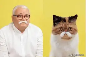 人猫共用身体？不是玄学图片