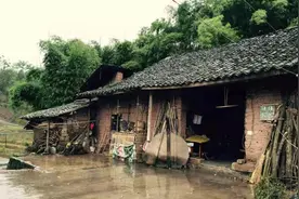 3条大蛇住在浙江绍兴村民家中，进入家里面的蛇能不能打？图片