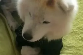 女子睡的正香，突然闻到一股烧焦味，醒来一看不淡定了图片