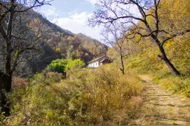三栋老房子，没有鸡鸣，没有犬吠，遗弃在秦岭山中，早已无人居住图片