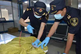 沈阳空港首单！跨境电商新机遇来了图片