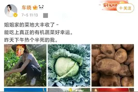 39岁车晓近况曝光，衣着朴素蹲菜地采摘，身形消瘦胳膊细如竹竿图片