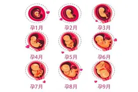 胎儿在妈妈腹中是如何成长的？一组高清图带你了解，娃的发育过程图片