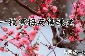 冠词的用法详解（附真题练习及答案解析）！图片