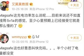 令人失望的 MagSafe 无线充电图片