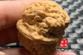 小众文玩核桃的品种类别——这6款你值得拥有图片