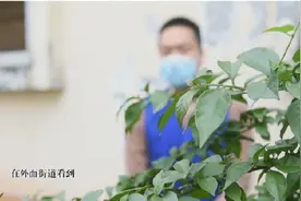 日进斗金，年入百万？缅北回流小伙用亲身经历告诉你真相！图片