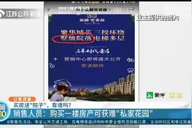 销售称买房送“院子”实为公共绿地 律师：已涉嫌虚假宣传 开发商需担责图片
