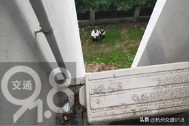 视频辣眼！杭州小区里一包排泄物从天而降「杭州交通918资讯」图片