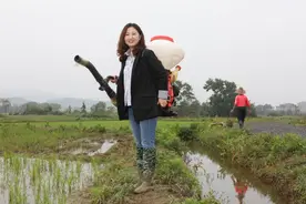那些逃离北上广深的小镇青年，过的还好吗？图片