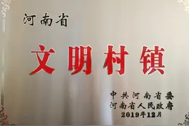 厉害了！洛阳这个村获省级荣誉图片