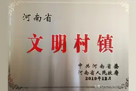 厉害了！洛阳这个村获省级荣誉图片