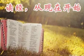 出埃及记4图片