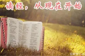 出埃及记4图片