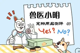 猫咪不爱喝水一个饮水机就能搞定？没那么神奇，饮食健康才是关键图片
