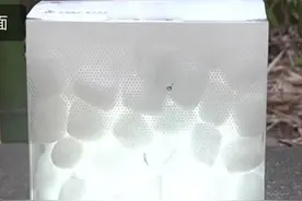 好特别！西安高校毕业礼物送学生手电筒，寓意照亮前行的路图片