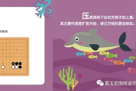 棋理的颠覆 | 围棋中的十八般武艺（十二）——压图片
