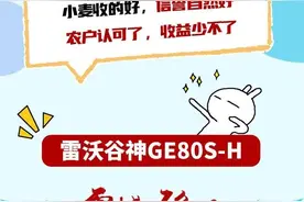 了解下雷沃谷神GE80S-H收割机图片