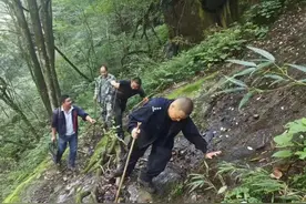 保护生物多样性 陇南森林公安在行动图片