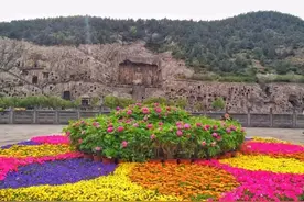 花开正好 邂逅诗意龙门图片
