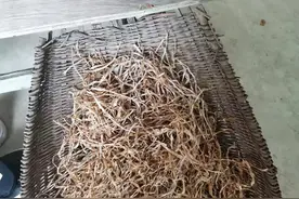 我有一个爱我的老公图片