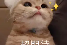 别错过！11月26日，三甲医院专家组团来如皋义诊！图片