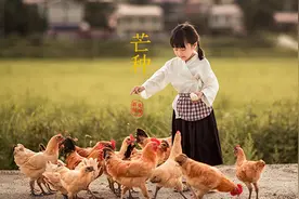 芒种丨愿你的忙，不慌不茫图片