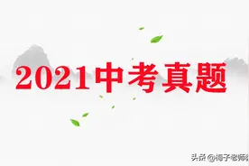 2021年 山东省滨州市 中考语文试题（含解析）图片