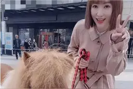 当红男星认狗当女儿，霍思燕的猫值20万，柳岩还在商场遛马图片
