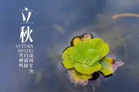 立秋将至，云淡风轻，几首秋日小诗，感受初秋时节的美好图片