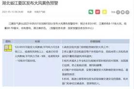 武汉市江夏区发布大风黄色预警：预计未来3小时，江夏将有8-11级大风图片