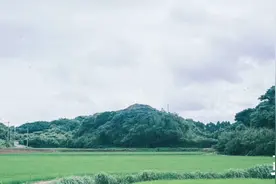 人到中年，不是怂了，而是懂了图片