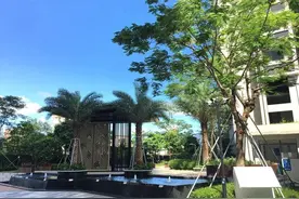 太值了！总价200多万起买3房，在深圳安个家图片