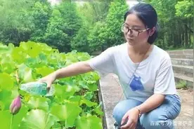 一种特殊的寻宝方法，一般人我不告诉他图片