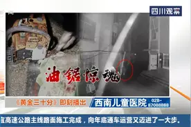油锯惊魂（上）：凌晨时分油锯声声夺人命，满屋血腥一家四口三人受伤，意外发现的日记本满是杀机图片