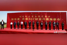 出身名门 “父母”优秀 自身卓越——秋乐麦.百农307横空出世图片