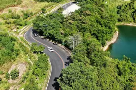 关于肇庆这条“网红路”，你到底了解多少？图片