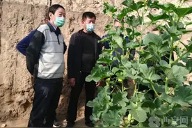西安阎良：农业园区迎来西农大专家图片
