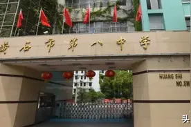 总投资30030万！黄石中心城区八中旁一优地段楼盘项目获批图片