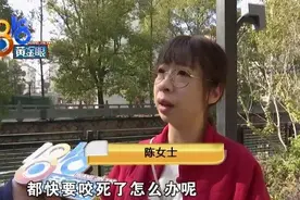 “爱狗人士”用脚“劝架”，狗主人争执中倒地，谁来负责？图片