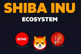 shib也能炒，30天暴涨百倍？我真的服了币圈了图片
