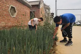收获当下，播种未来！友谊大街小学三年级八班芒种主题手抄报创意满满图片