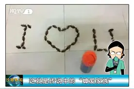 谈恋爱的男女到底TM有多沙雕？？？（单身狗必看版）图片