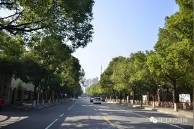古美，真的发展到顶了吗？图片