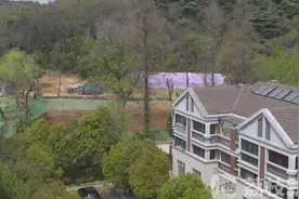 和野生动物做邻居？红山动物园改造引不满|荔枝解忧帮图片