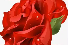 古人说“富不还乡”，富贵还乡有什么不利之处？图片